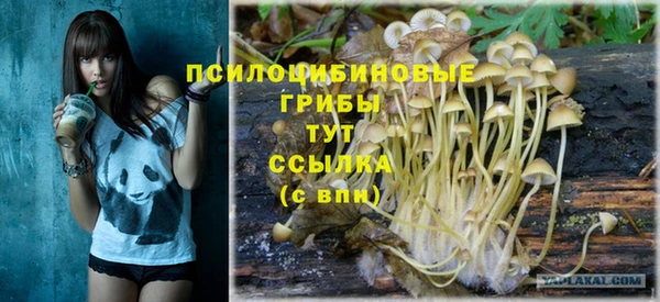 спайс Лихославль