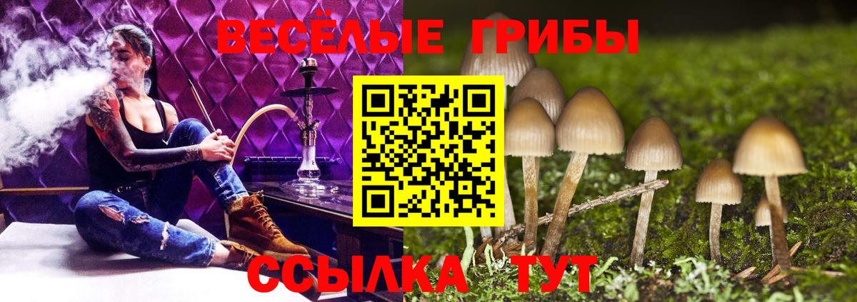 Псилоцибиновые грибы Cubensis Нефтекамск