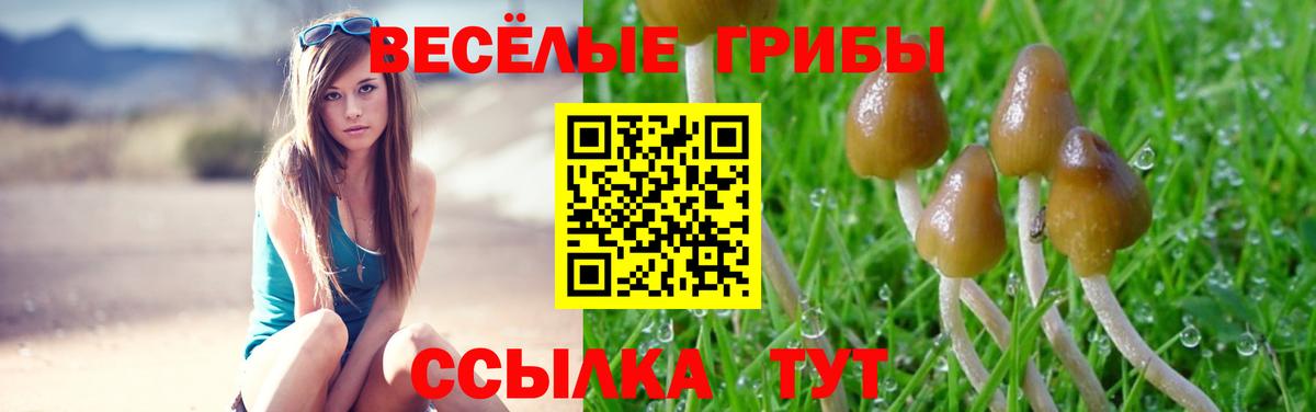Псилоцибиновые грибы GOLDEN TEACHER  Вход с VPN  Нефтекамск 